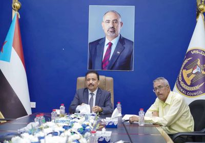 مع الإعلام الدولي.. الانتقالي يستعرض موقفه من الحكومة والحوثي