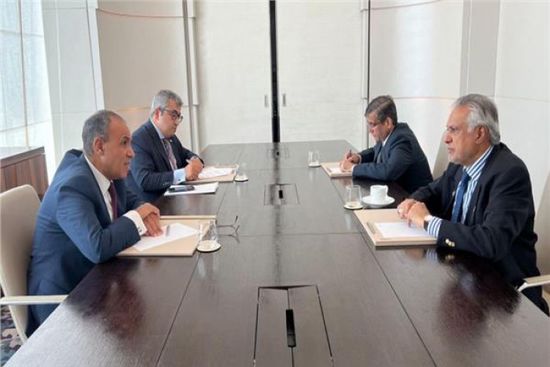 وزير الخارجية المصري يلتقي مع نظيره الباكستاني في الدوحة