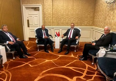 وزيرا خارجية مصر وتركيا يُعربان عن تضامنهما مع قطر