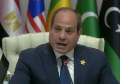السيسي:  الممارسات الإسرائيلية تجاوزت المنطق.. وتخطت كافة الخطوط الحمراء