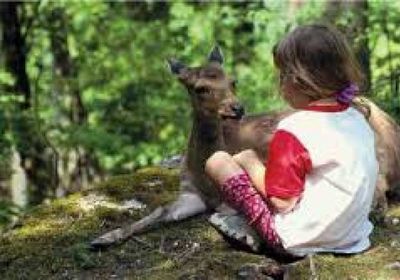 كولومبيا تطلب وضع معايير عالمية لحماية الحيوانات الأليفة