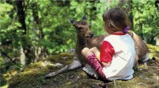 كولومبيا تطلب وضع معايير عالمية لحماية الحيوانات الأليفة