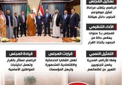 تمثيل الجنوب بـ"الرئاسي".. هيكلة وفقا لنسبة الأراضي المحررة (إنفوجراف)