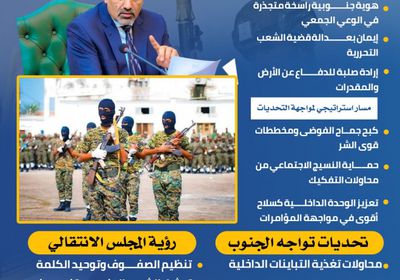 صمود الجنوب.. درع راسخ في مواجهة التحديات (إنفوجراف)