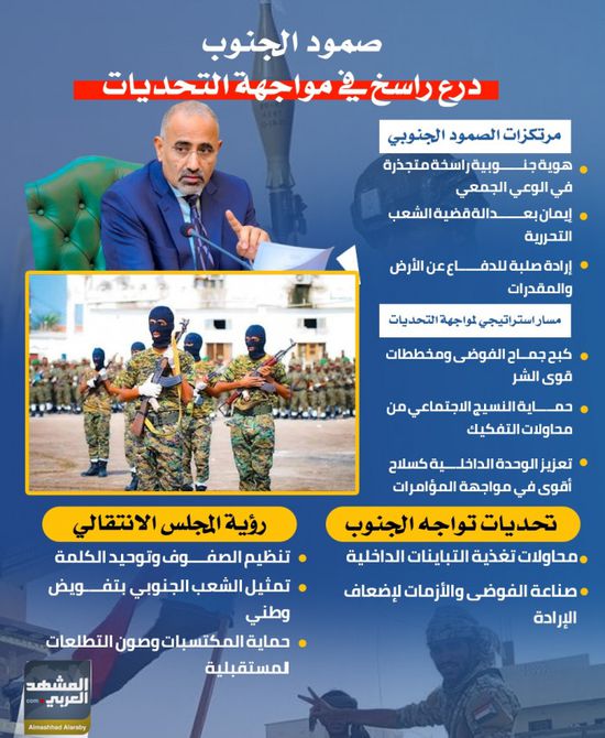 صمود الجنوب.. درع راسخ في مواجهة التحديات (إنفوجراف)