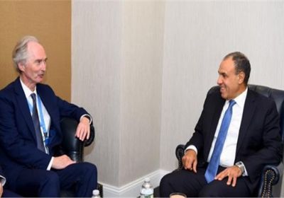 وزير الخارجية المصري يدين بشدة الانتهاكات الإسرائيلية للسيادة السورية