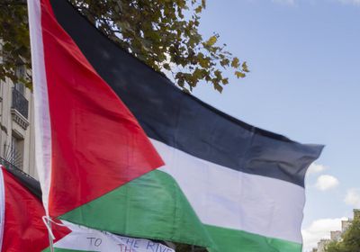 الإمارات تدعو مجددًا مجلس الأمن لتحمل مسؤولياته لردع إسرائيل