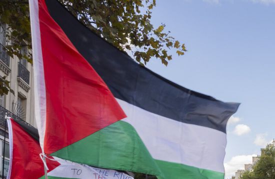 الإمارات تدعو مجددًا مجلس الأمن لتحمل مسؤولياته لردع إسرائيل