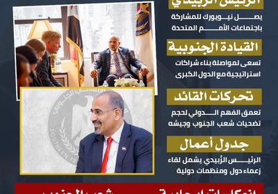 قضية الجنوب في الأمم المتحدة (إنفوجراف)