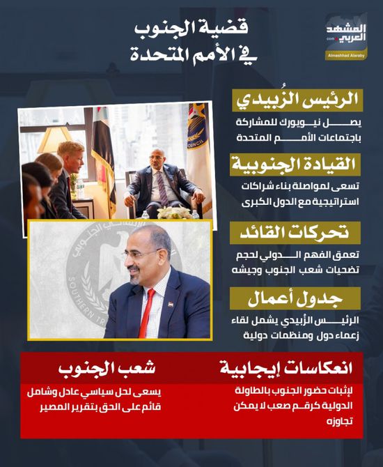 قضية الجنوب في الأمم المتحدة (إنفوجراف)