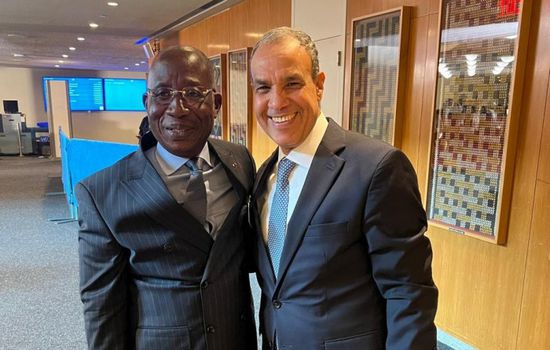 وزير الخارجية المصري يعقد مباحثات مع نظيره الإيفواري في نيويورك