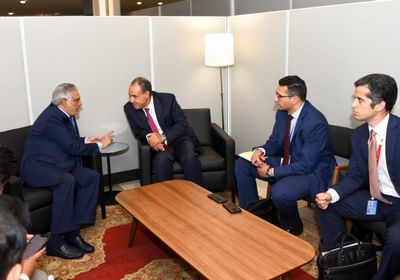 وزير الخارجية المصري يعقد مباحثات مع نظيره الباكستاني في نيويورك