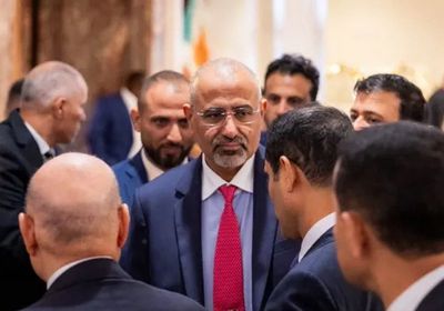 أمن واستثمار وتنمية.. بيئة الجنوب الواعدة أمام فرصة دولية استراتيجية