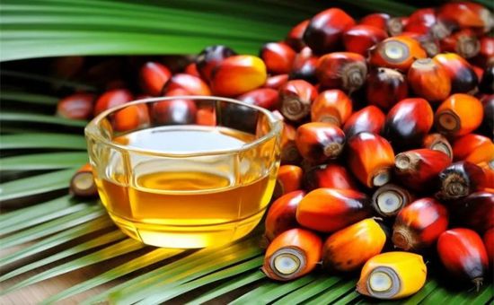 تراجع أسعار زيت النخيل بسبب قرار الأرجنتين