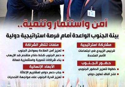 أمن واستثمار وتنمية.. بيئة الجنوب الواعدة أمام فرصة استراتيجية دولية (إنفوجراف)