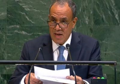 من الأمم المتحدة.. مصر: أسس السلام بالشرق الأوسط في مهب الريح