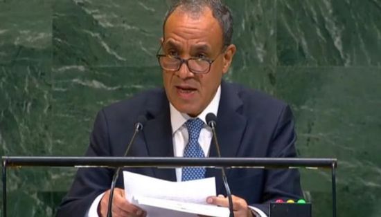 من الأمم المتحدة.. مصر: أسس السلام بالشرق الأوسط في مهب الريح