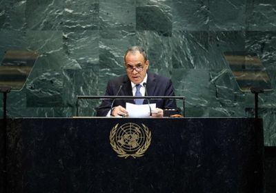 وزير الخارجية المصري: لن نكون بوابة لتصفية القضية الفلسطينية