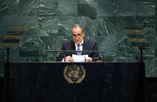 وزير الخارجية المصري: لن نكون بوابة لتصفية القضية الفلسطينية