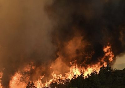 ناميبيا ترسل تعزيزات عسكرية لمكافحة حريق كبير في محمية إيتوشا