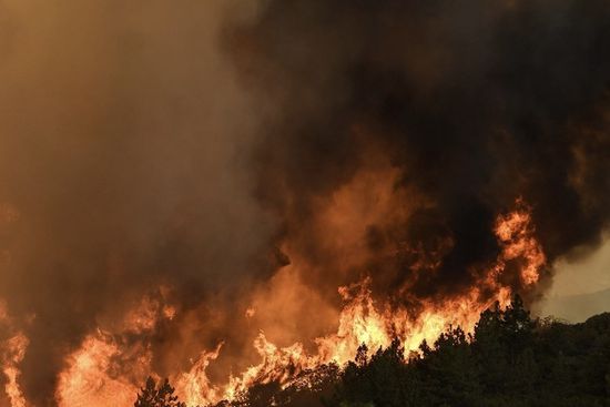 ناميبيا ترسل تعزيزات عسكرية لمكافحة حريق كبير في محمية إيتوشا