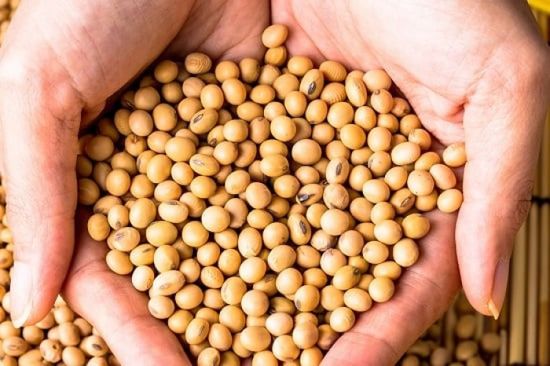 الصين تكثف مشترياتها من فول الصويا الأرجنتيني