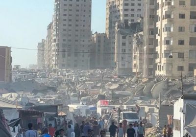 وزير الخارجية البلجيكي: اعترافنا بدولة فلسطين مشروط