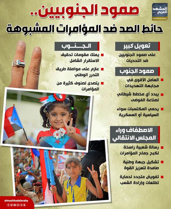 صمود الجنوبيين.. حائط الصد ضد المؤامرات المشبوهة (إنفوجراف)