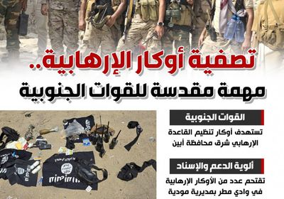 تصفية أوكار الإرهابية.. مهمة مقدسة للقوات الجنوبية (إنفوجراف)