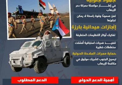 الجنوب ومكافحة الإرهاب.. نجاحات ميدانية تتطلب دعما دوليا (إنفوجراف)