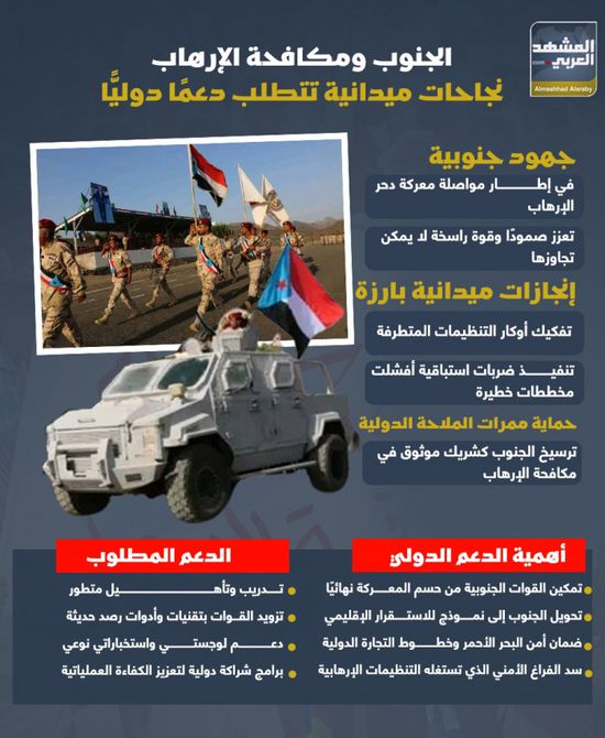 الجنوب ومكافحة الإرهاب.. نجاحات ميدانية تتطلب دعما دوليا (إنفوجراف)