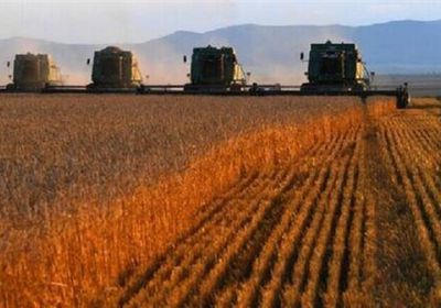 روسيا تتوقع ارتفاع حصاد الحبوب 10% وإنتاج 135 مليون طن