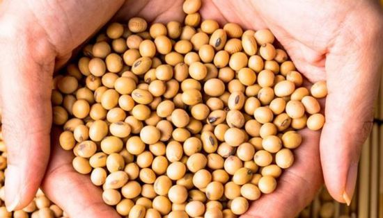 أسعار الصويا تتراجع في أمريكا بعد تهديد ترامب برسوم على الصين