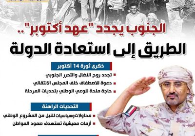 الجنوب يجدد "عهد أكتوبر".. الطريق إلى استعادة الدولة (إنفوجراف)