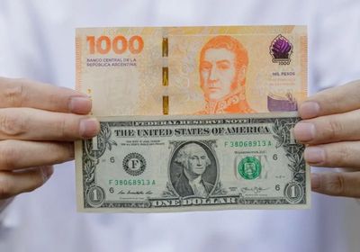 الأرجنتين تبيع 320 مليون دولار في يوم واحد لدعم البيزو