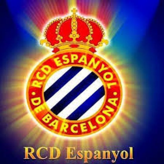 ملاك "بيرنلي" الأمريكيون يستحوذون على حصة في "إسبانيول"