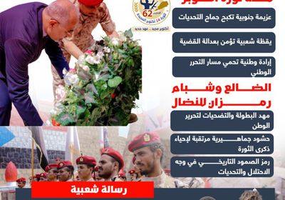 احتفاء الجنوب بذكرى ثورة أكتوبر.. عزيمة فولاذية متجددة تصون الوطن (إنفوجراف)