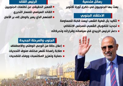 الجنوب يجدد تفويضه لقائده (إنفوجراف)