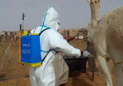 وباء الدفتيريا وحمى الوادي المتصدع يقتلان 36 شخصًا بموريتانيا