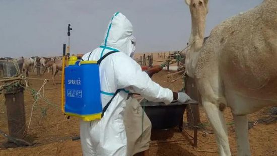 وباء الدفتيريا وحمى الوادي المتصدع يقتلان 36 شخصًا بموريتانيا