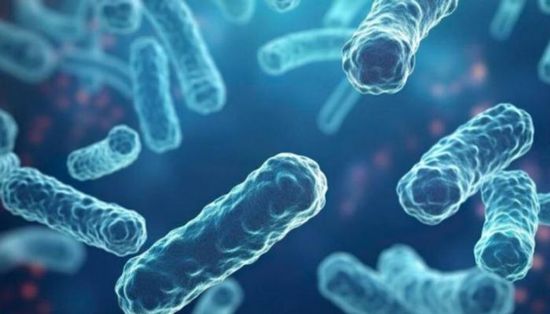 وزارة الصحة الجزائرية تعلن تسجيل حالتي وفاة بداء الدفتيريا في سكيكدة