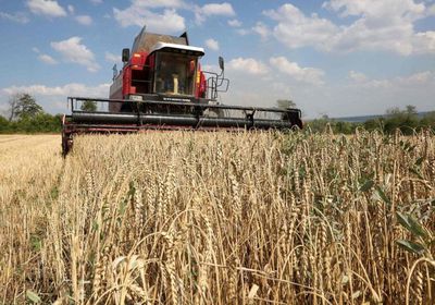 رطوبة الطقس تؤثر على حصاد دوار الشمس وفول الصويا في أوكرانيا