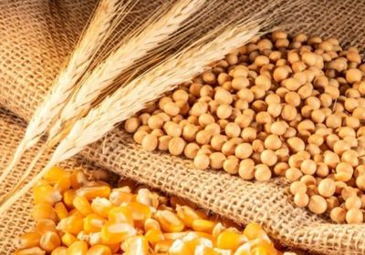 "فول الصويا" يرتفع للجلسة الثالثة تفاؤلا بمفاوضات واشنطن وبكين