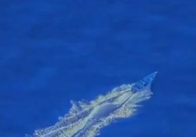 واشنطن تعلن عن ضربة في المحيط الهادئ ضد قارب لتهريب المخدرات