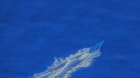 واشنطن تعلن عن ضربة في المحيط الهادئ ضد قارب لتهريب المخدرات