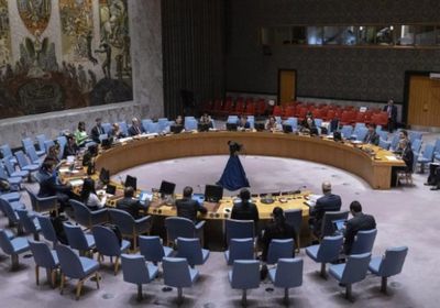 مصر تدعو لإصلاح وتوسيع مجلس الأمن الدولي