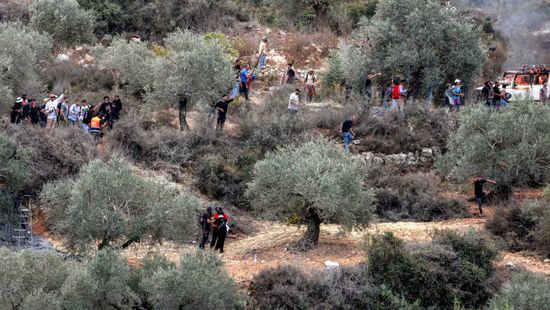 مستوطن يعتدي على مزارع فلسطيني مسن بالضفة