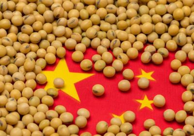 اتفاق أمريكي مع الصين حول المعادن النادرة وفول الصويا