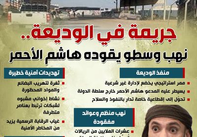 جريمة في الوديعة.. نهب وسطو يقوده هاشم الأحمر (إنفوجراف)