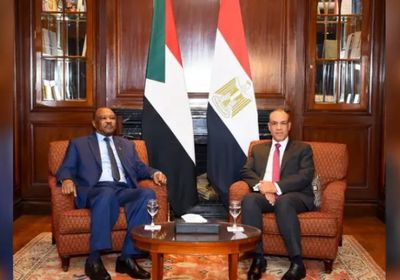 الخارجية المصرية: نتحرك بفاعلية لإقرار هدنة عاجلة في السودان